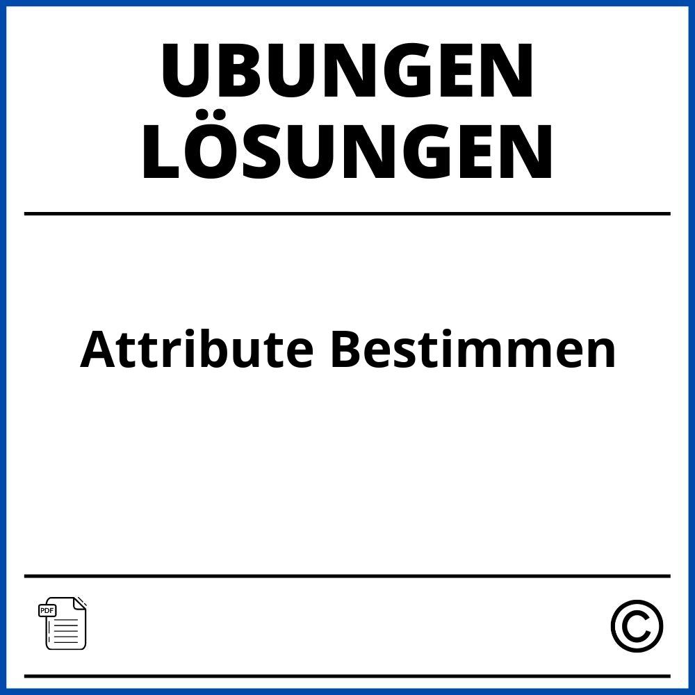 Attribute Bestimmen Übungen Mit Lösungen Pdf