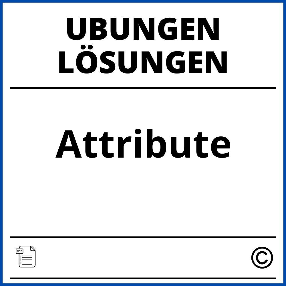 Attribute Übungen Mit Lösungen Pdf