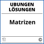 Matrizen Übungen Mit Lösungen Pdf