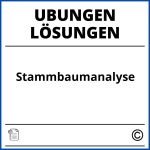 Stammbaumanalyse Übungen Mit Lösungen Pdf