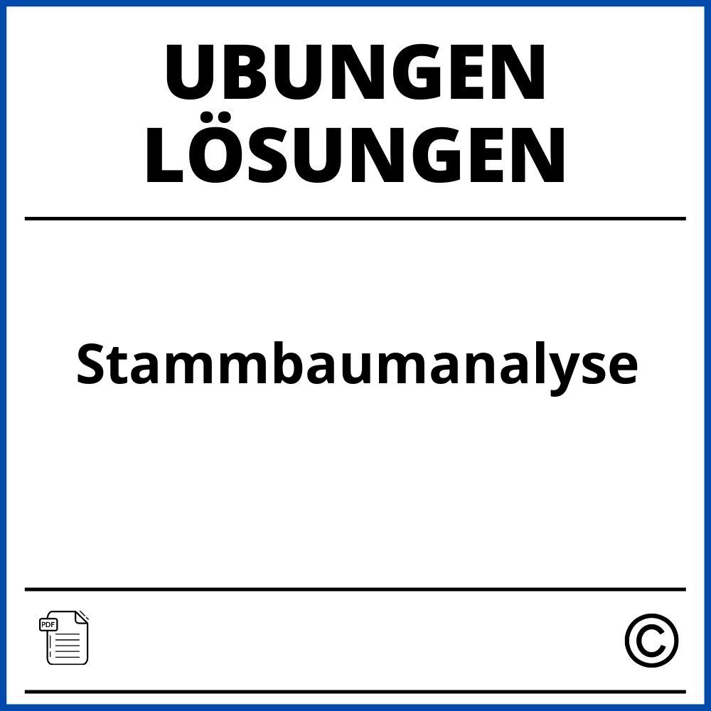 Stammbaumanalyse Übungen Mit Lösungen Pdf